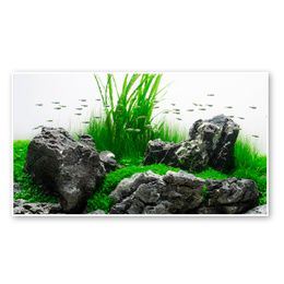 FOND DOUBLE AMAZONIA BLISTER 45x100 cm PCB 6