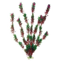 PLANT CLASSIC FLORA BICOLOUR SM PCB 6