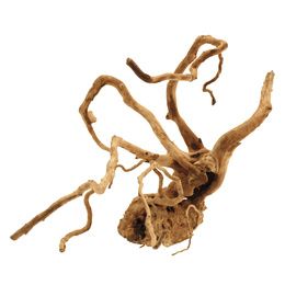 BOIS RED WOOD 40-45 cm