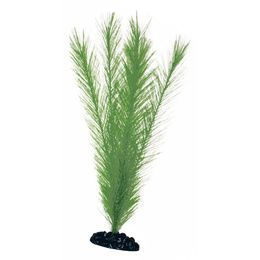 PLANT CLASSIC BLYXA LG *