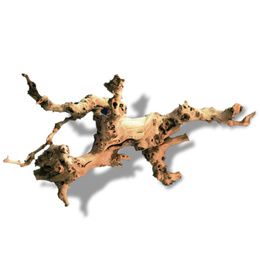 VINE BOIS M 30-45 CM PCB 10