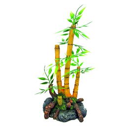 JAPAN BAMBOO PLANTE