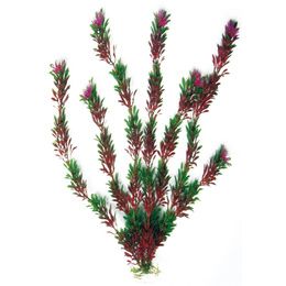 PLANT CLASSIC FLORA BICOLOUR MD PCB 6