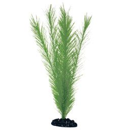 PLANT CLASSIC BLYXA SM .*