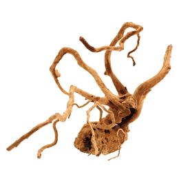 BOIS RED WOOD 20-25 cm