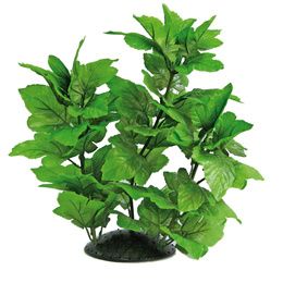 PLANT REPLICA HYGROPHILA 30 CM