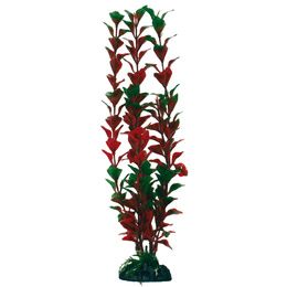 PLANT CLASSIC LUDWIGIA LG