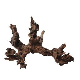 BOIS MYSTIC WOOD MD