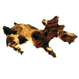 BOIS MOPANI MD