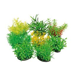 TROPICAL PLANT 7 CM SERIES PCB 8