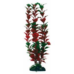 PLANT CLASSIC LUDWIGIA MD .
