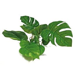 PLANT REPLICA ANUBIAS 15 CM PCB 6