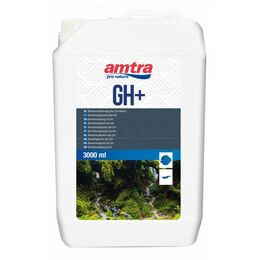 AMTRA GH + 3000 ml