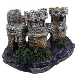 CHÂTEAU AVEC ROCHES XS