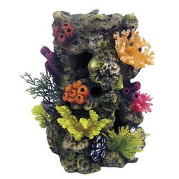 ROCK AVEL CORAUX M