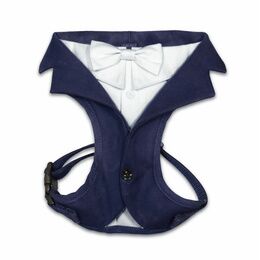 HARNEIS CEREMONY GROOM BLEU XS 30-39 cm PCB 100