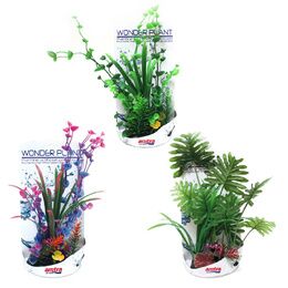 WONDER PLANT SERIES H 30-35 cm PCB 3