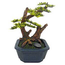 JAPAN BONSAI AVEC VASE