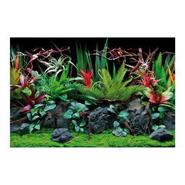 FOND DOUBLE FLORA BLISTER 30x60 cm PCB 6