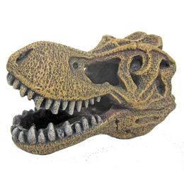 CRÂNE TYRANNOSAURUS