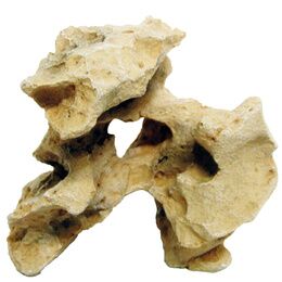 ROCHE GALLURA BEIGE ARC AVEC TROU