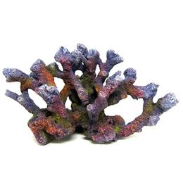 AMTRA REEF ROCK BRANCH SERIES MD 1