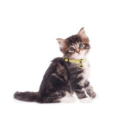 COLLIER CHATON CLOUD