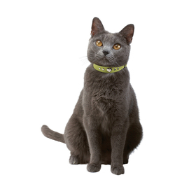 COLLIER CHAT AMOUR