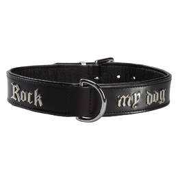 COLLIER ROCK MY DOG
