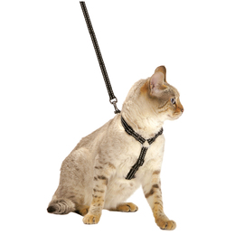 HARNAIS+LAISSE CHAT SAFE