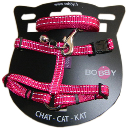 HARNAIS+LAISSE CHAT SAFE