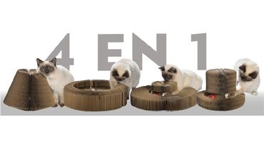 Concours Animalis Show