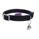 COLLIER CHAT DISCO