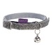 COLLIER CHAT DISCO