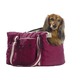 SAC VADROUILLE