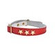 COLLIER CHAT ETOILES