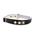 COLLIER CHAT ETOILES