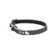 COLLIER CHAT REFLECHISSANT PORTE-ADRESSE