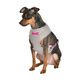 HARNAIS T-SHIRT KYRIELLE