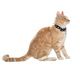COLLIER CHAT MIDNIGHT