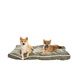 COUSSIN OLLIE