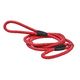 LAISSE LASSO WALK