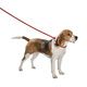 LAISSE LASSO WALK