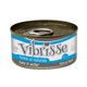 VIBRISSE CHAT