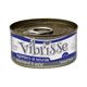 VIBRISSE CHAT