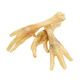 NIKI NAT.BARF PIEDS DE POULET 250 g PCB 5