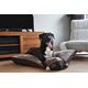 COUSSIN FEATHER