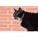 COLLIER CHAT STRIPE