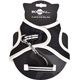 PACK CHAT HARNAIS MINI + LAISSE STRIPE