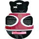 PACK CHAT HARNAIS MINI + LAISSE STRIPE
